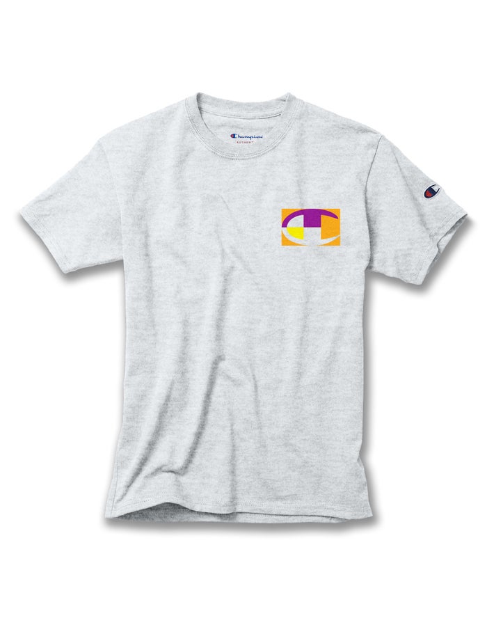 Camiseta Champion Niño - Cotton Retro Colorblock Logos ( Gris ) 4923105-KX